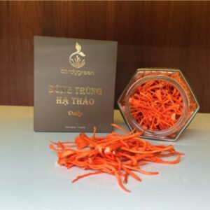 Đông trùng hạ thảo khô Daily